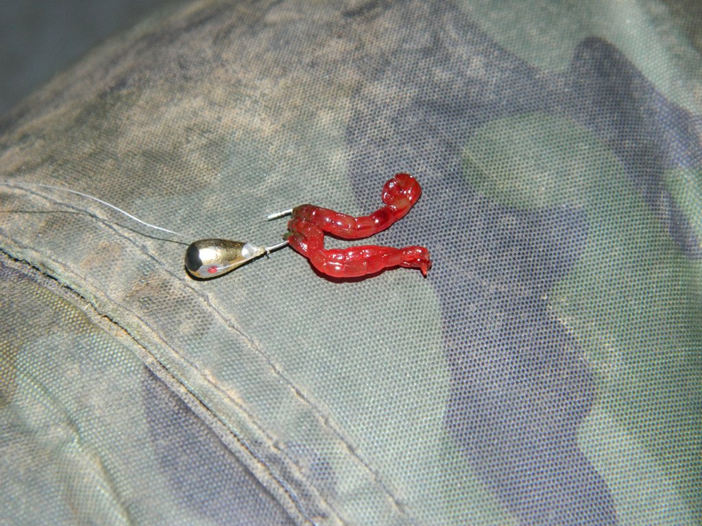 Как ловить в глухозимье 00007.JPG